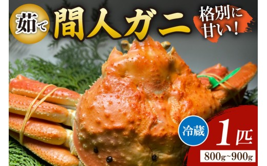 Ԑl`l̊ۗFNOځE̊ԐlKj䥂Ł[1C 800`900g]@MG00008s{Os160000ECYJj