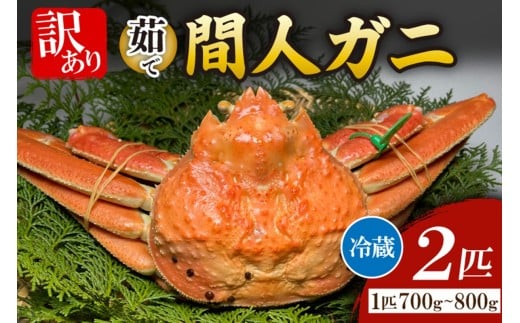 Ԑl`l̊ۗFNOځE̊ԐlKjA䥂Ł[1C 700`800g×2C]@MG00013s{Os160000ECYJj