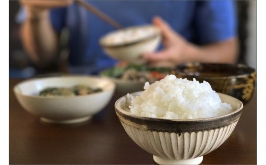 2025年産 京都・弥栄産 ササニシキ 精米4.5kg(栽培期間中農薬不使用) HD00015京都府京丹後市21000米・パン白米