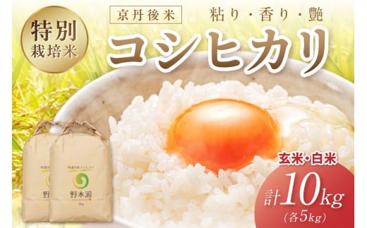 2025年産 京丹後米 特別栽培米コシヒカリ 玄米・白米 各5kg NO00024京都府京丹後市34000米・パン白米