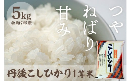 令和7年産 丹後こしひかり 5kg 1等米 MU00055京都府京丹後市18000米・パン白米