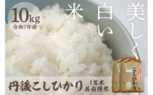 令和7年産 美白精米 丹後こしひかり 10kg(5kg×2) 1等米 MU00058京都府京丹後市36000米・パン白米