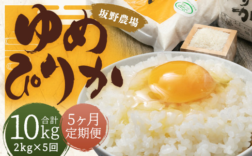 【5ヶ月定期便】らんこし米 ゆめぴりか 2kg【2024年9月下旬発送開始予定】北海道蘭越町64000米・パン白米