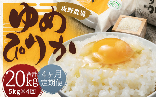 【4ヶ月定期便】らんこし米 ゆめぴりか 5kg【2024年9月下旬発送開始予定】北海道蘭越町88000米・パン白米