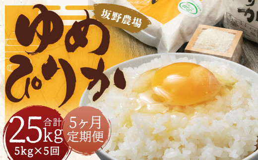 y5ցz񂱂 ߂҂肩 5kgy2024N9{Jn\zkCz110000āEp