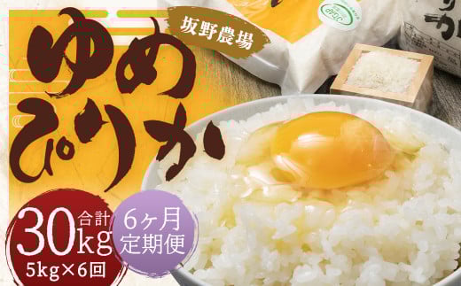 【6ヶ月定期便】らんこし米 ゆめぴりか 5kg【2024年9月下旬発送開始予定】北海道蘭越町132000米・パン白米