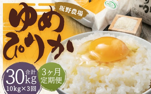 【3ヶ月定期便】らんこし米 ゆめぴりか 10kg(5kg×2袋)【2024年9月下旬発送開始予定】北海道蘭越町118000米・パン白米