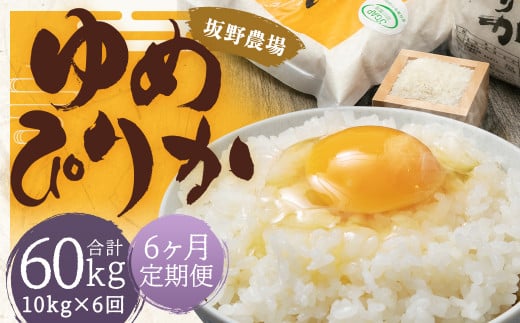 【6ヶ月定期便】らんこし米 ゆめぴりか 10kg(5kg×2袋) 【2024年9月下旬発送開始予定】北海道蘭越町235000米・パン白米
