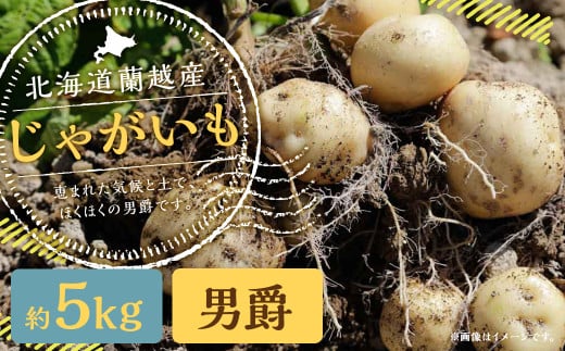kC zY Ⴊ ij݁j 5kgy2025N11{-2026N4{\z 5kg j |eg 퉷 kCY zkCz9000؁ÊႪEC
