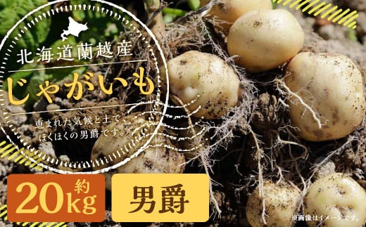 北海道 蘭越産 じゃがいも(男爵) 約20kg【2025年11月下旬〜2026年4月上旬発送予定】北海道蘭越町20000野菜・きのこじゃがいも・イモ類