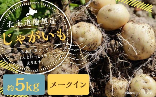 北海道 蘭越産 じゃがいも (メークイン) 約5kg【2025年11月下旬-2026年4月上旬発送予定】野菜 5kg メークイン ポテト 常温 北海道産 蘭越町北海道蘭越町9000野菜・きのこじゃがいも・イモ類