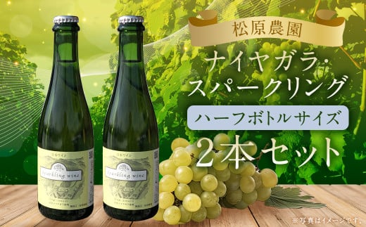 「ナイヤガラ・スパークリング」ハーフボトル(375ml×2本)計750ml セット ぶどう ワイン スパークリングワイン 酒 葡萄 テーブルワイン 北海道産北海道蘭越町15000酒・アルコールワイン