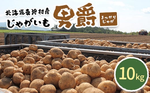 甘くてホクホク!太陽の光をたっぷりと浴びた 北海道真狩村産じゃがいも 男爵「まっかりじゃが」10kg【2025年産】【0114601】北海道真狩村11000野菜・きのこじゃがいも・イモ類