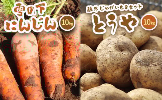 kC^둺Y@̉ɂ񂶂10kgƉz~Ⴊ10Kg BZbg (Ƃ) y2026Nt͂zy0115801zkC^둺20000؁Ê卪EjWEؗ