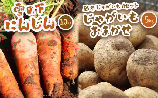 kC^둺Y@̉ɂ񂶂10kgƉz~Ⴊ5kg AZbg(Ⴊނ܂)  y2026Nt͂zy0115102zkC^둺20000؁ÊႪEC