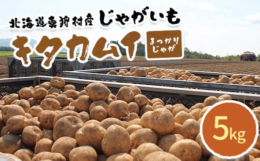 甘くてホクホク!太陽の光をたっぷりと浴びた 北海道真狩村産じゃがいも キタカムイ「まっかりじゃが」5kg【2025年産】【0116701】北海道真狩村8000野菜・きのこじゃがいも・イモ類