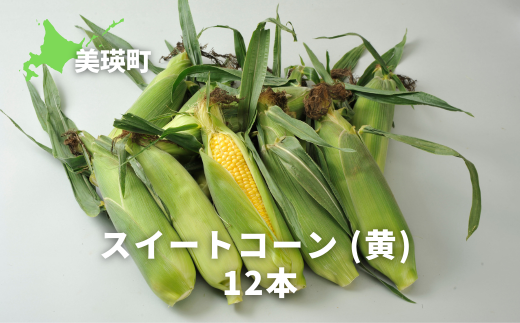 ys\zƂ낱 XC[gR[ij12{ TXP̉ [014-98]kCl14000؁ÊƂ낱