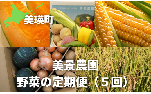 【先行予約】野菜 定期便 5回  セット 詰め合わせ 美景農園 赤肉メロン2個、スイートコーン(6本)、夏野菜セット(7〜9品)、秋の味覚6点セット(じゃがいも3品種、玉ねぎ、人参、坊ちゃん南瓜)