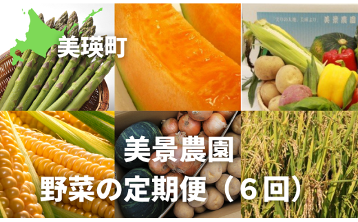 【先行予約】野菜 定期便 6回 美景農園 グリーンアスパラ1kg、赤肉メロン2玉、スイートコーン6本、夏野菜セット(7〜9品)、秋の味覚セット(じゃがいも3品種、玉ねぎ、人参、坊ちゃん南瓜)、