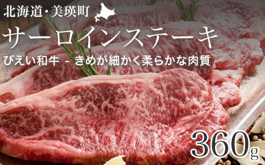 T[CXe[L 360g uтavt@[Yc [032-15]kCl32000