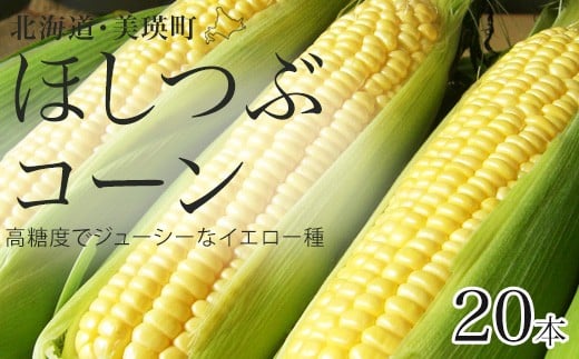 ys\zƂ낱iقԃR[j20{ ؔ_ | Ƃ낱 kC XC[gR[ Ƃ Ė lY kCY kCYƂ낱[016-90]kCl16000؁E