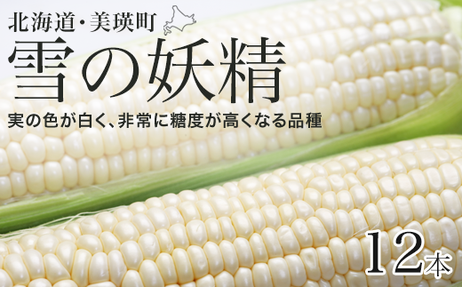 ys\zƂ낱i̗dj12{ ؔ_ | Ƃ낱 kC XC[gR[ Ƃ Ė lY kCY kCYƂ낱 [011-57]kCl11000؁Ê