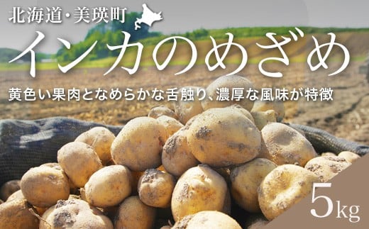 ys\z Ⴊ iCĴ߂߁j5kg ؔ_  | lC  LO   C Ⴊ WKC CJ̖ڊo kC [010-207]kCl10000؁E