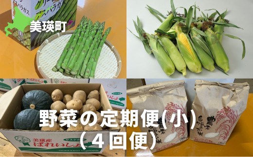 【先行予約】野菜 定期便 【小】 4回便  セット 詰め合わせ サスケの家 グリーンアスパラ1kg(L~2L)、スイートコーン8本(1品種)、秋野菜(じゃがいも、かぼちゃ約5kg)、米(ななつぼし)5kg[