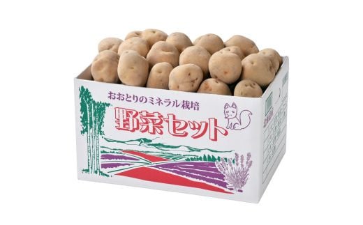 【先行予約】じゃがいも 男爵 & きたあかり セット (各5kg)  おおとり | ふるさと納税 人気 おすすめ ランキング 旬 じゃがいも 芋 ジャガイモ  いも イモ 新鮮 鮮度抜群 野菜 ベジタブル おい