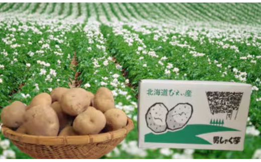【先行予約】じゃがいも 男爵 5kgおおとり  | ふるさと納税 人気 おすすめ ランキング 旬 じゃがいも 芋 ジャガイモ  いも イモ 新鮮 鮮度抜群 野菜 ベジタブル おいしい 健康 北海道 美瑛町
