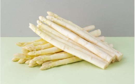 yߘa8NYs\zzCgAXp 800g lI  | zCg AXpKX AXp ς ς炪 ̂ꂽ VN { Yn [019-68]kCl19000؁Ê̑