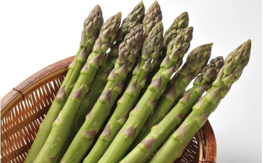 yߘa8NYs\zO[AXp 2LTCY 1kg lI   | O[ AXpKX AXp ς ς炪 ̂ꂽ VN { Yn [018-62]kCl18000؁E