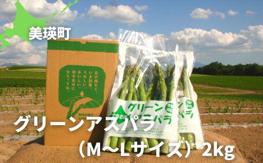 ys\zO[AXp l`kTCY 2kg ؔ_  | O[ AXpKX AXp ς ς炪 ̂ꂽ VN { Yn [020-96]kCl20000؁Ê