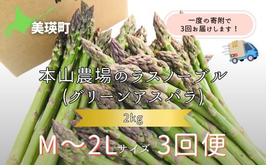 【令和8年産先行予約】 幻のアスパラ M〜2Lサイズ 2kg  3回便 ラスノーブル  北海道 美瑛町 本山農場 グリーンアスパラ | グリーン アスパラガス アスパラ あすぱら あすぱらがす 採れたて 新