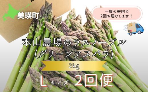 yߘa8NYs\z ̃AXp LTCY 2kg 2 Xm[u  kC l {R_ O[AXp  | O[ AXpKX AXp ς ς炪 ̂ꂽ VN {