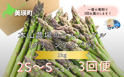yߘa8NYs\z  ̃AXp 2S`STCY 1kg 3 Xm[u  kC l {R_ O[AXp | O[ AXpKX AXp ς ς炪 ̂ꂽ V