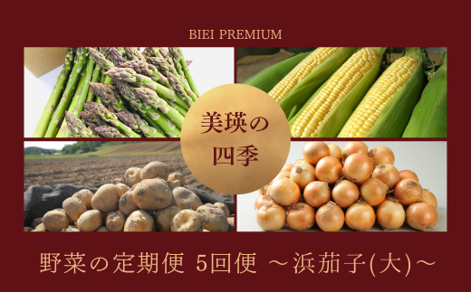 【先行予約】 美瑛の四季 野菜 定期便 【浜茄子(大)】5回便 セット 詰め合わせ  |  アスパラ とうもろこし 食べ比べ  セット 玉ねぎ 人気 おすすめ ランキング いも 芋 イモ じゃがいも ジャガ