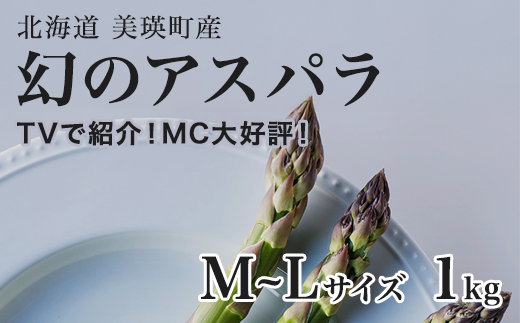【令和8年産先行予約】  幻のアスパラ M〜Lサイズ 1kg ラスノーブル  北海道 美瑛町 本山農場 グリーンアスパラ  | グリーン アスパラガス アスパラ あすぱら あすぱらがす 採れたて 新鮮 旬
