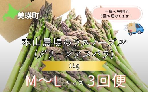 【令和8年産先行予約】  幻のアスパラ M〜Lサイズ 1kg 3回便 ラスノーブル  北海道 美瑛町 本山農場 グリーンアスパラ | グリーン アスパラガス アスパラ あすぱら あすぱらがす 採れたて 新鮮