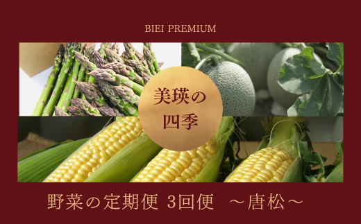 ys\z l̎lG   yz3 Zbg lߍ킹 |  AXp  Ƃ낱  Zbg lC  LO 3 3 3[052-12]kCl52000؁E