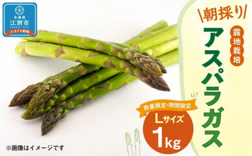 ys\/2026N4{蔭JnzBO002ʌEԌ聄O[AXpKX(LTCY) 1kg In͔| ̂kC]ʎs15000؁Ê̑ 