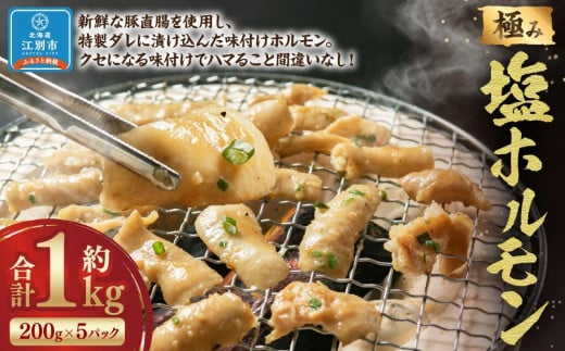 極み塩ホルモン 1kg(200g×5袋)北海道江別市20000肉豚肉