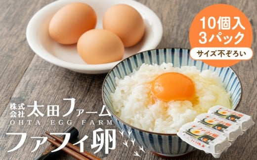ファフィ卵10個入3パック(サイズ不ぞろい)北海道江別市10000卵・乳製品卵(鶏、烏骨鶏等)