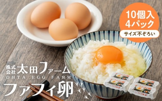 ファフィ卵10個入4パック(サイズ不ぞろい)北海道江別市13000卵・乳製品卵(鶏、烏骨鶏等)