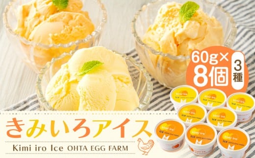 きみいろアイス 60g×8個北海道江別市10000菓子・スイーツアイス・ジェラート