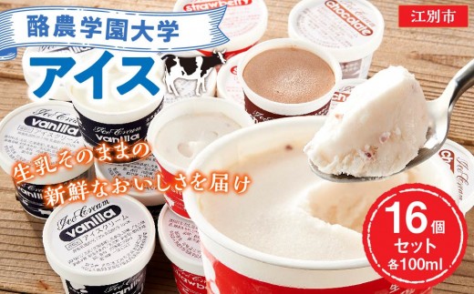 酪農学園大学アイス16個セット(各100ml)北海道江別市16000菓子・スイーツアイス・ジェラート
