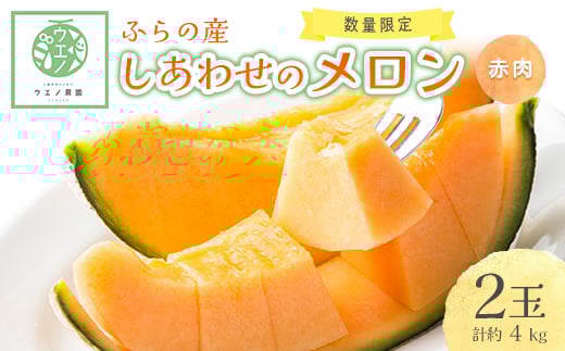 <先行受付 2026年発送>ふらの産 しあわせのメロン(赤肉×2玉 計約4kg)【1253236】北海道富良野市16000果物・フルーツメロン・スイカ