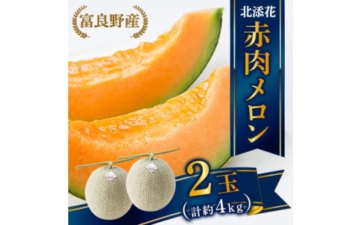 <2026年6月下旬順次発送・先行受付>> 富良野産メロン 北添花(赤肉メロン2玉 計約4kg)【1251250】北海道富良野市15000果物・フルーツメロン・スイカ