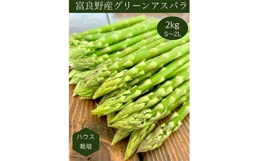 <2026年発送><先行受付>北海道富良野産グリーンアスパラガス 無選別品 約2kg【1286086】北海道富良野市19000野菜・きのこその他 野菜
