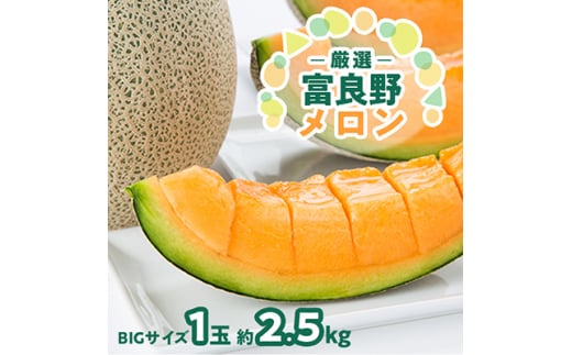 <2026年発送>北海道富良野メロン『厳選』BIGサイズ1玉(約2.5kg)_ メロン 果物 くだもの フルーツ 北海道 富良野 赤肉 大玉 富良野メロン 贈答 ギフト  お取り寄せ 人気 おすすめ 【1286284】北海